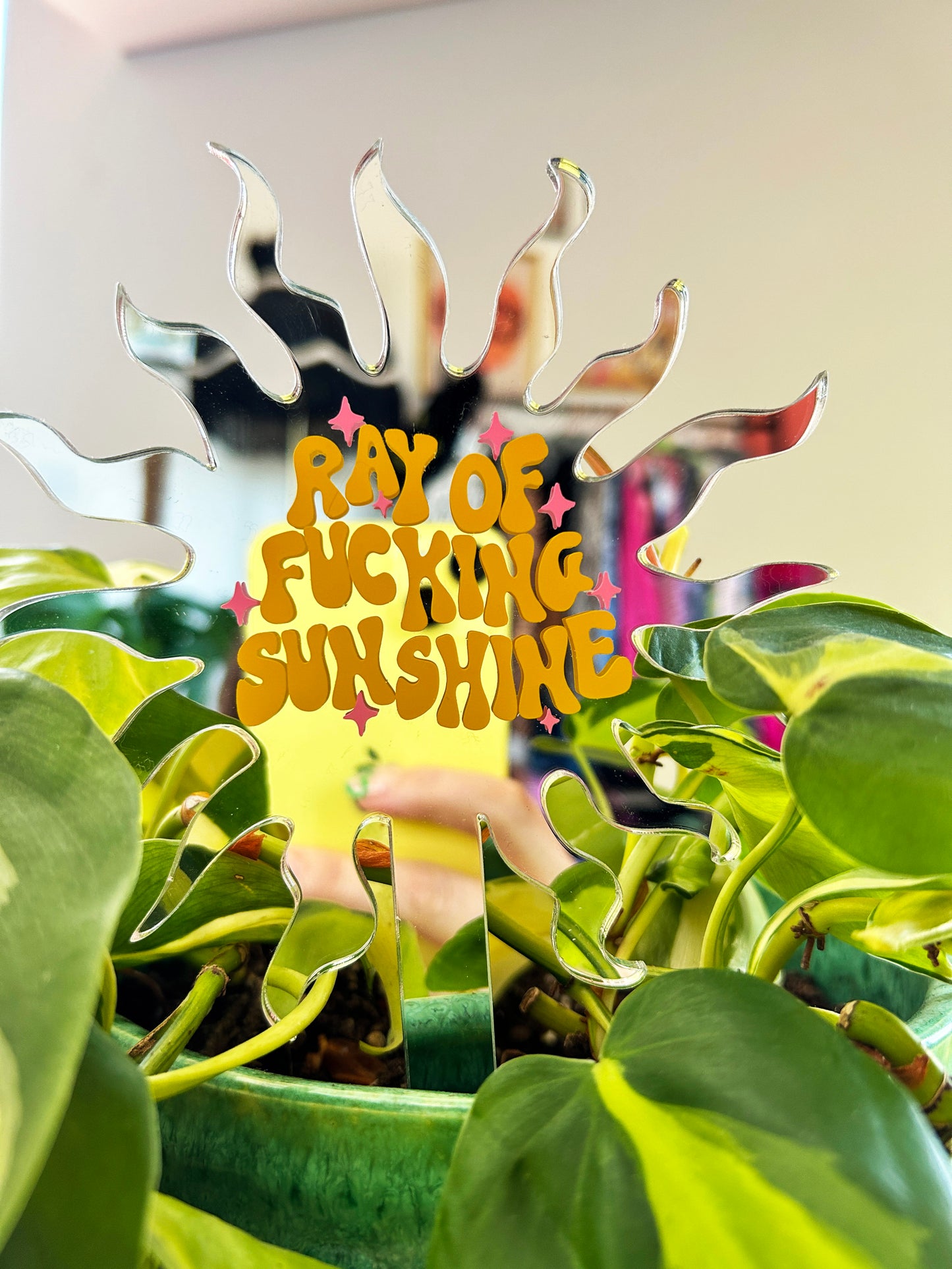 Ray Of Fucking Sunshine Mirror Plant Stick
