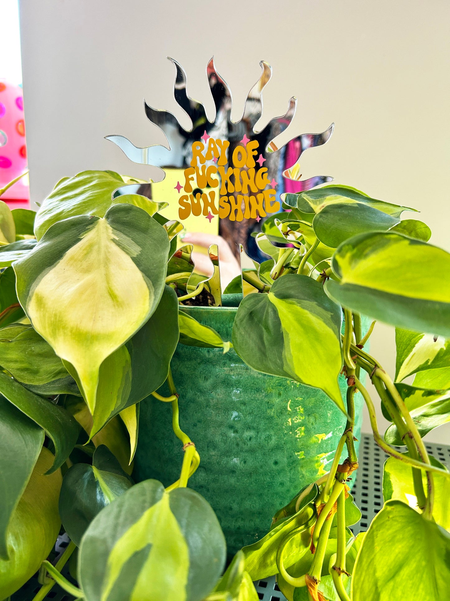 Ray Of Fucking Sunshine Mirror Plant Stick