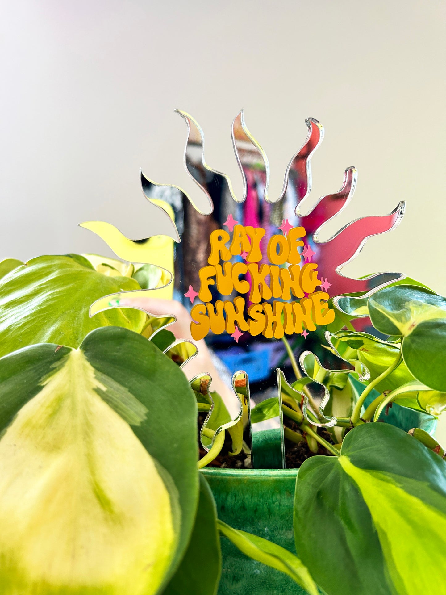 Ray Of Fucking Sunshine Mirror Plant Stick