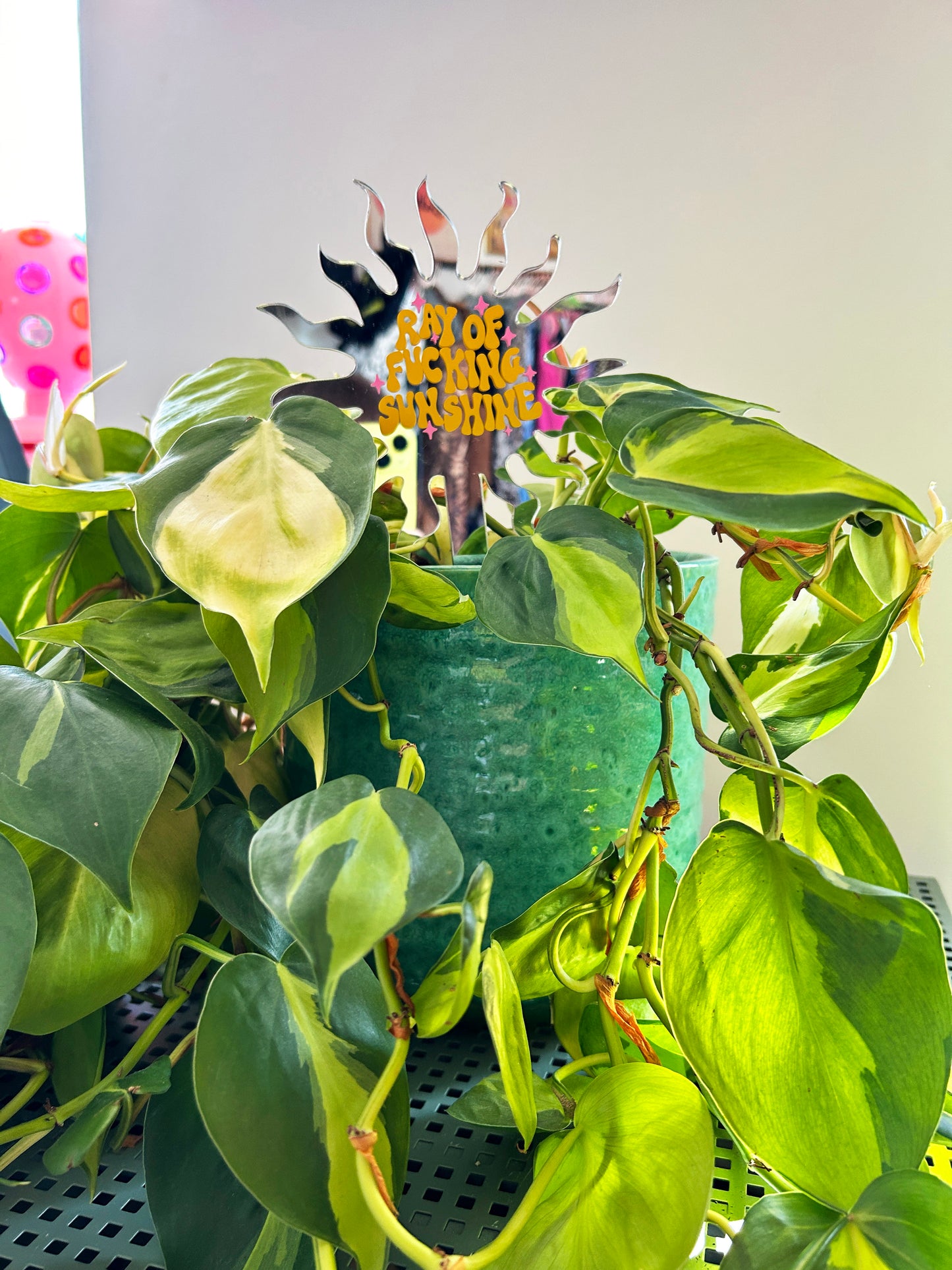 Ray Of Fucking Sunshine Mirror Plant Stick