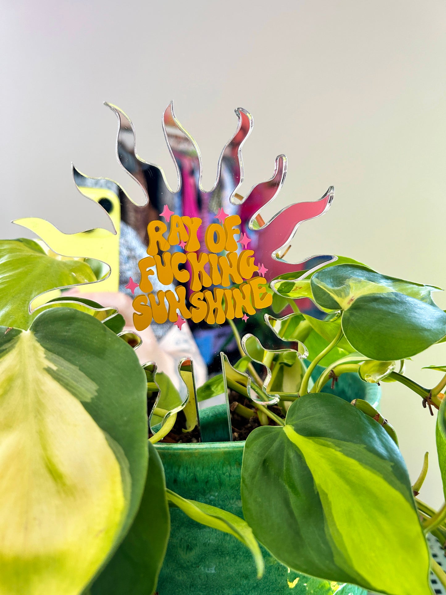Ray Of Fucking Sunshine Mirror Plant Stick
