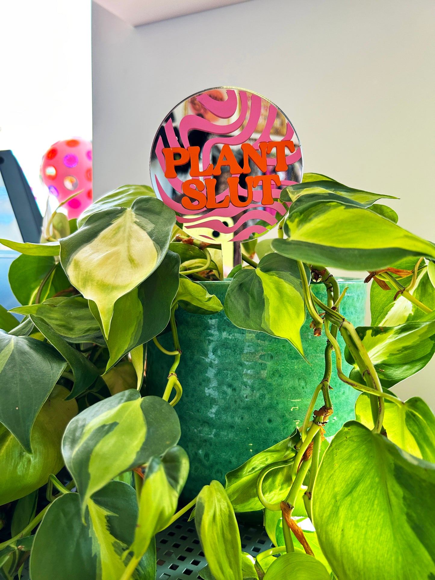 Plant Slut Mirror Plant Stick