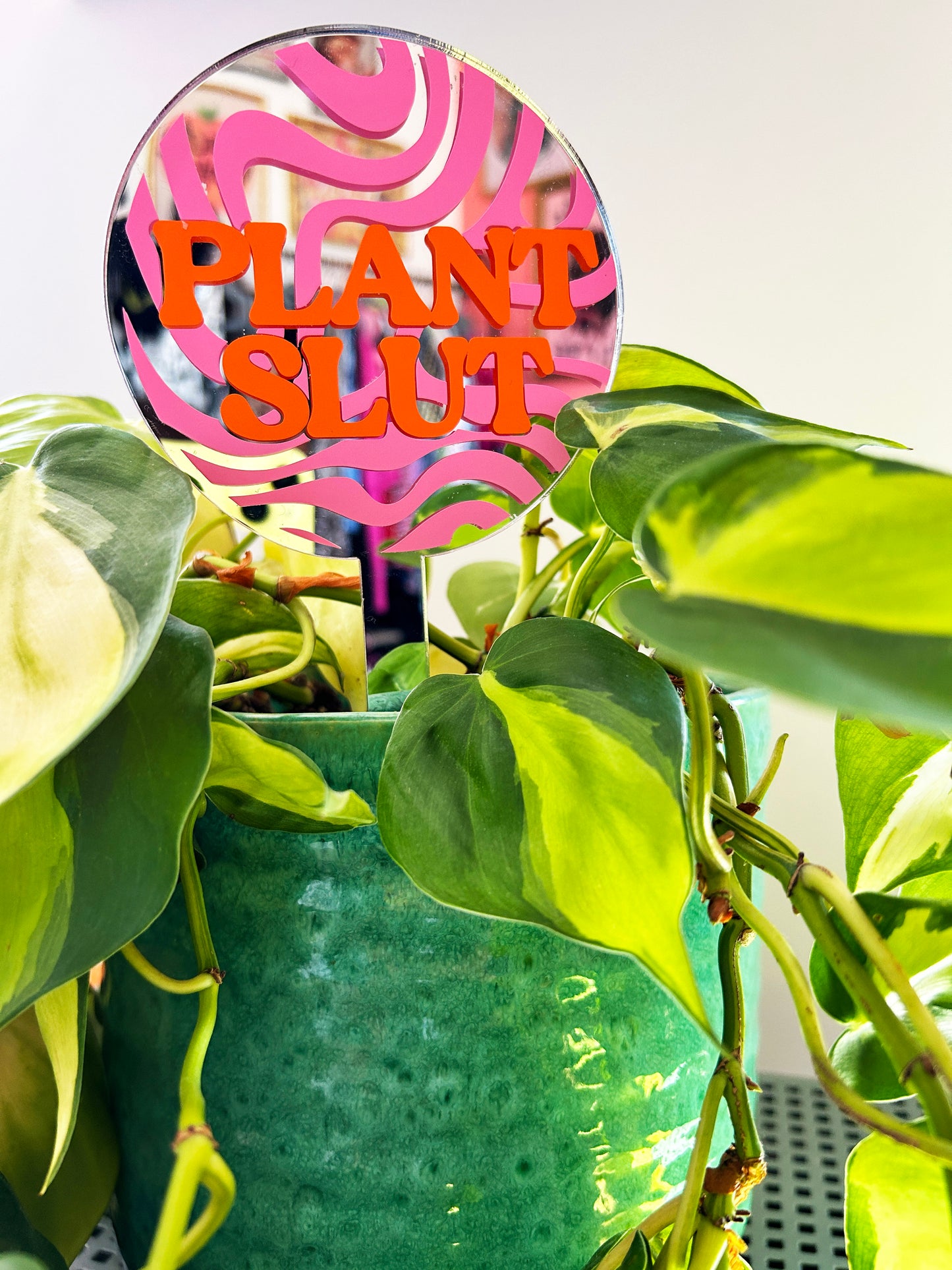 Plant Slut Mirror Plant Stick