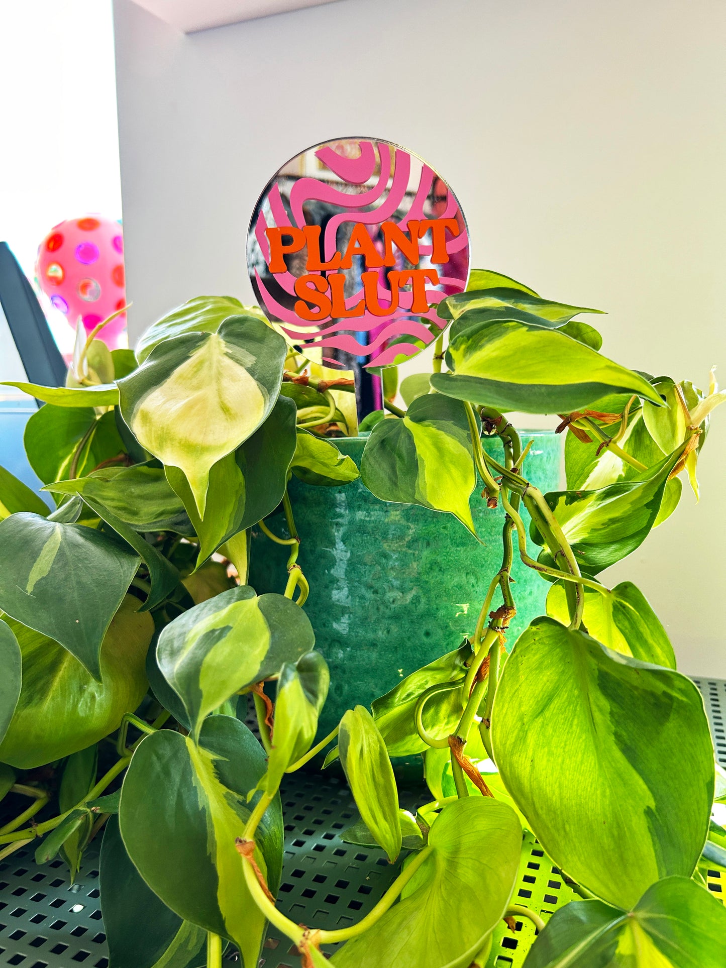 Plant Slut Mirror Plant Stick