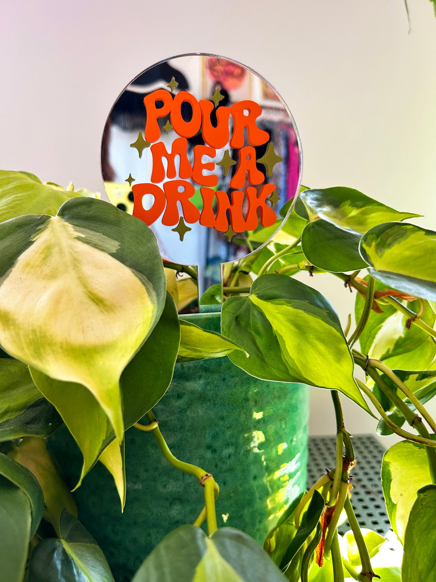 Pour Me A Drink Mirror Plant Stick