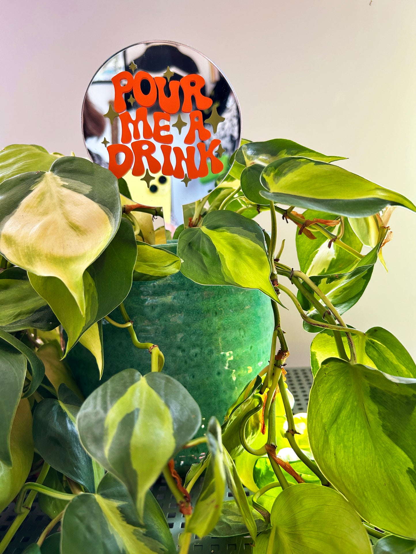 Pour Me A Drink Mirror Plant Stick