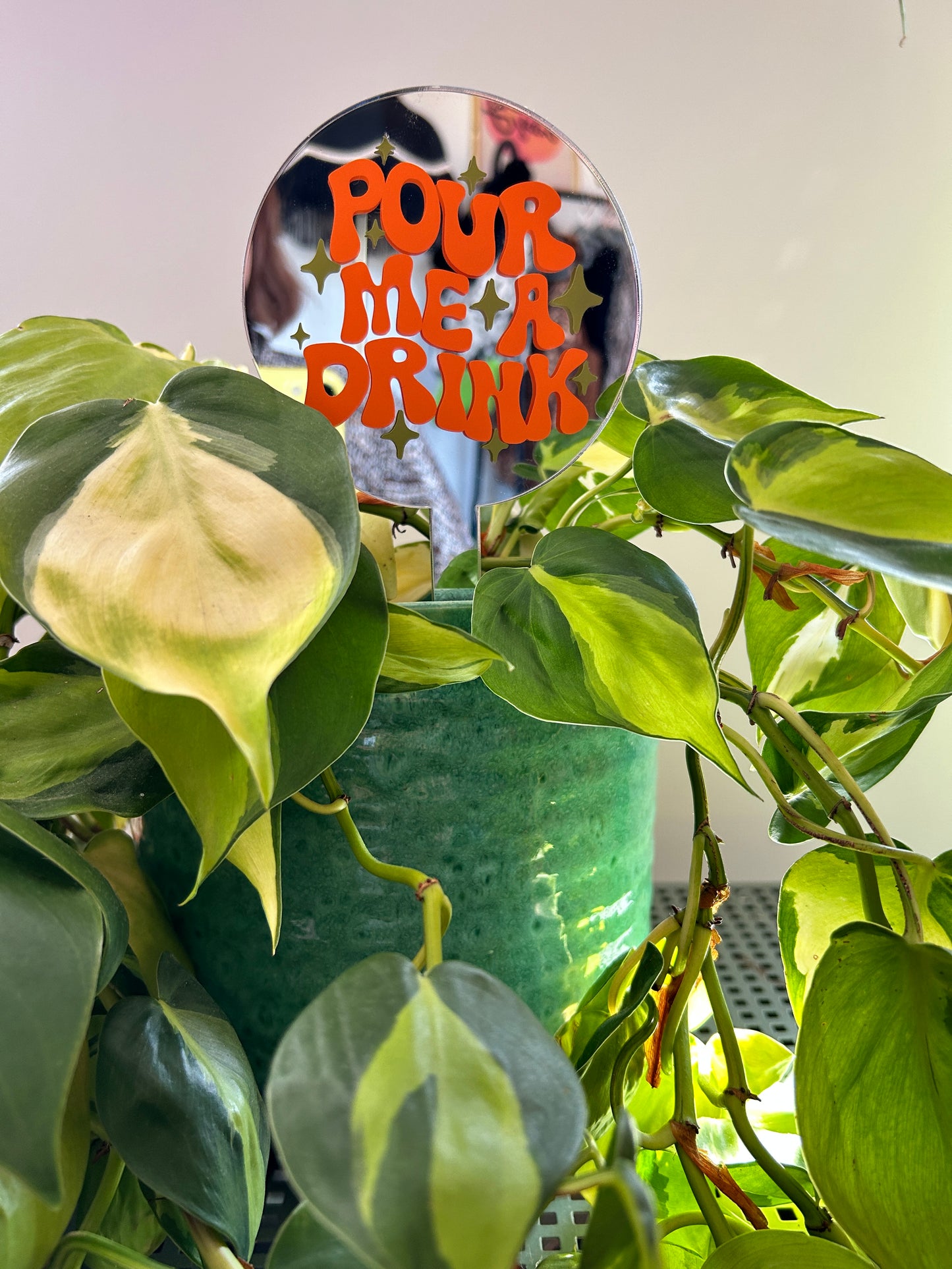 Pour Me A Drink Mirror Plant Stick