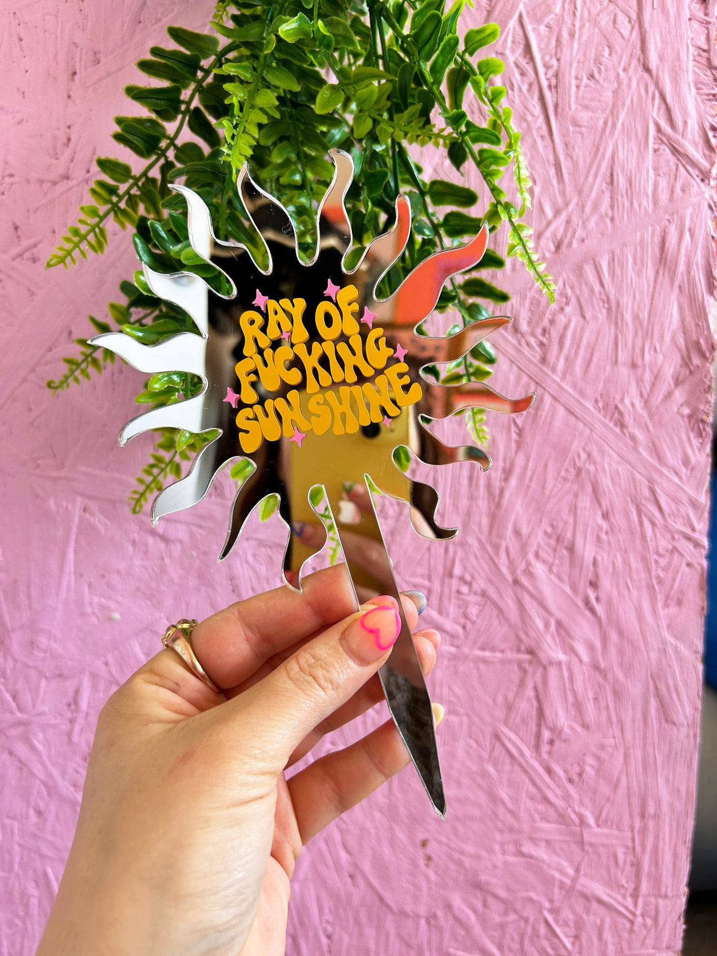 Ray Of Fucking Sunshine Mirror Plant Stick