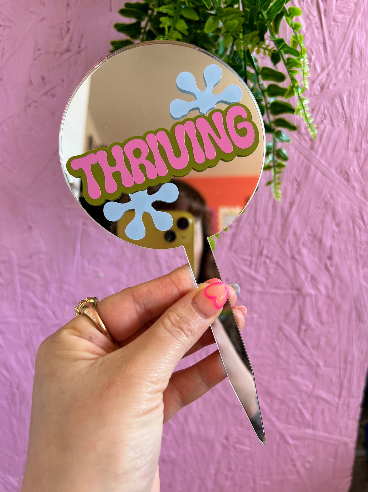 Thriving Mirror Plant Stick