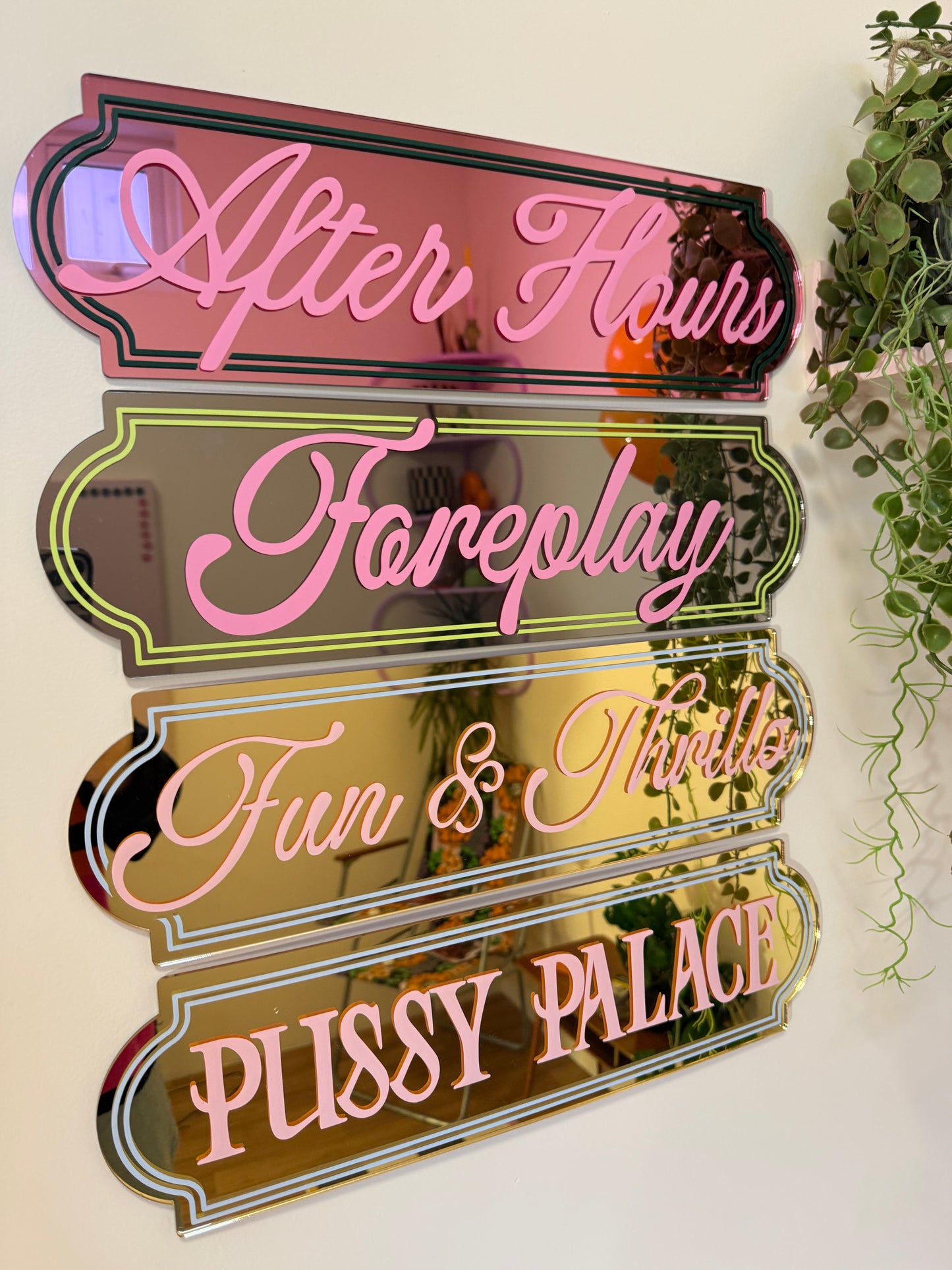 Fun & Thrills Mirror Sign