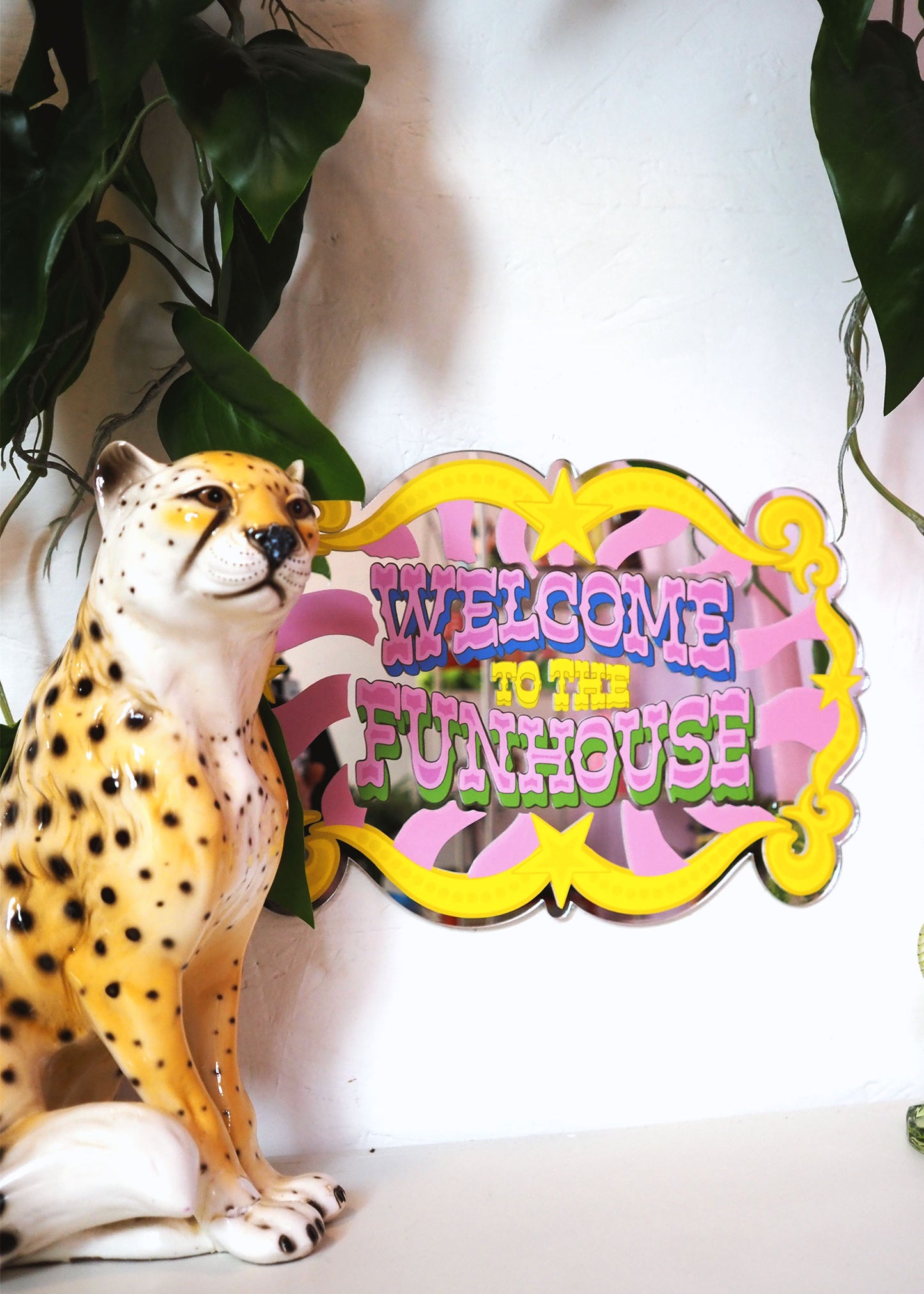 The Funky Funhouse Mirror