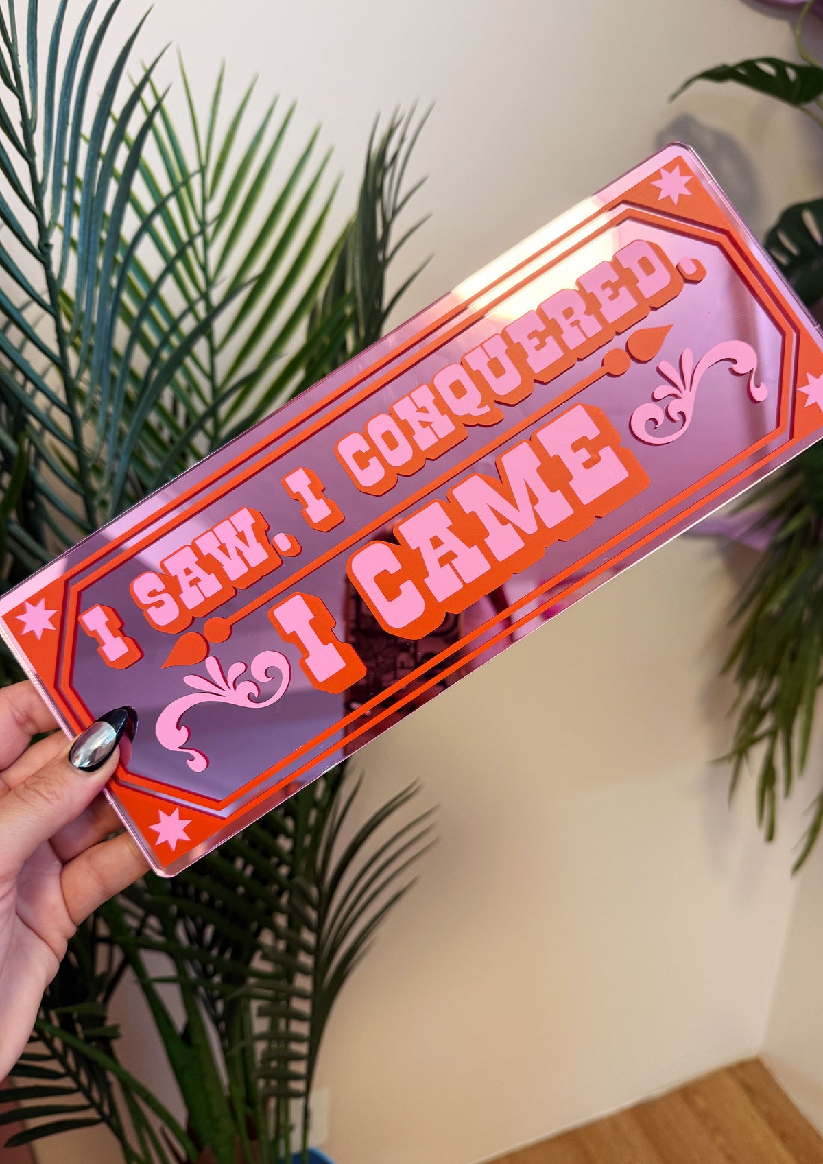 I Saw, I Conquered, I Came Retro Mirror Sign