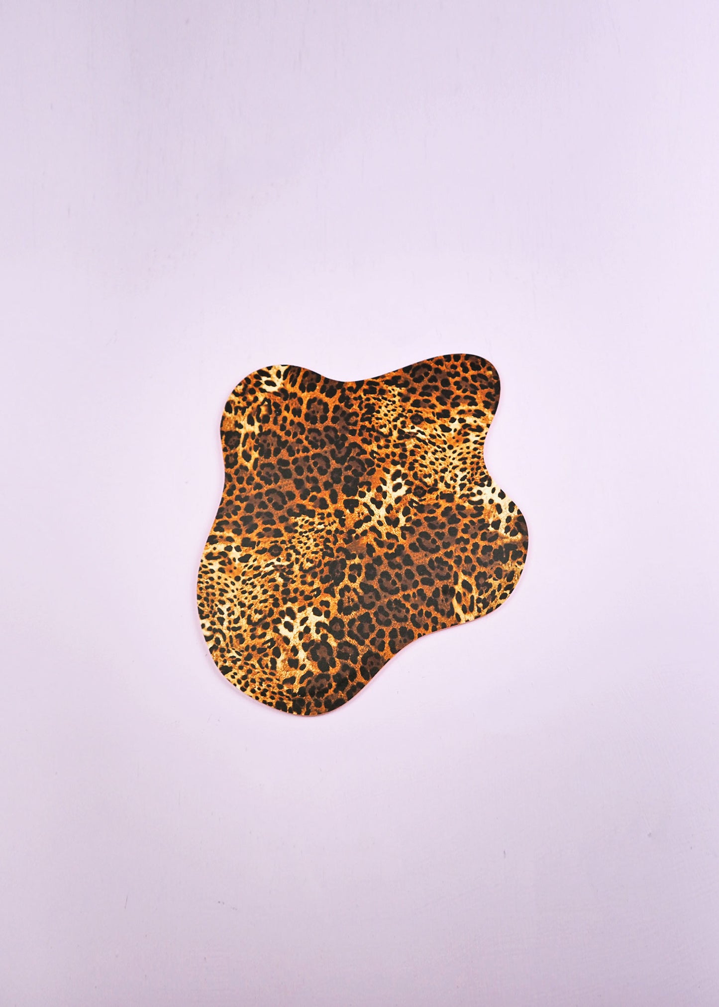 Leopard Print Mirror Frame - Mini Disc Mirror Not Included