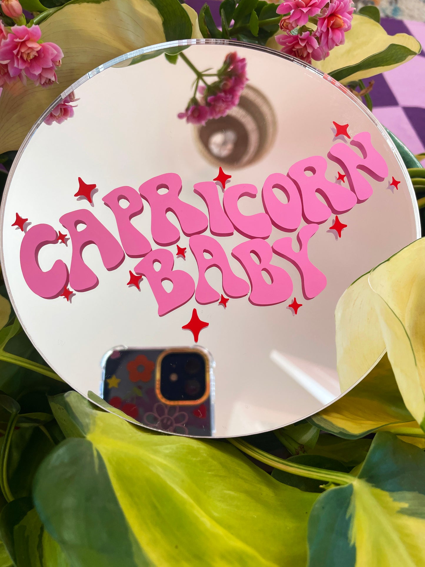 Capricorn Baby Disc Mirror - PrintedWeird