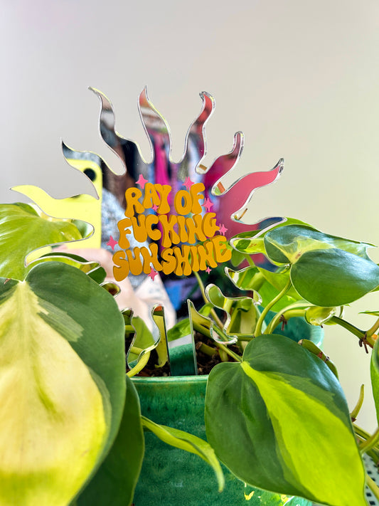 Ray Of Fucking Sunshine Mirror Plant Stick