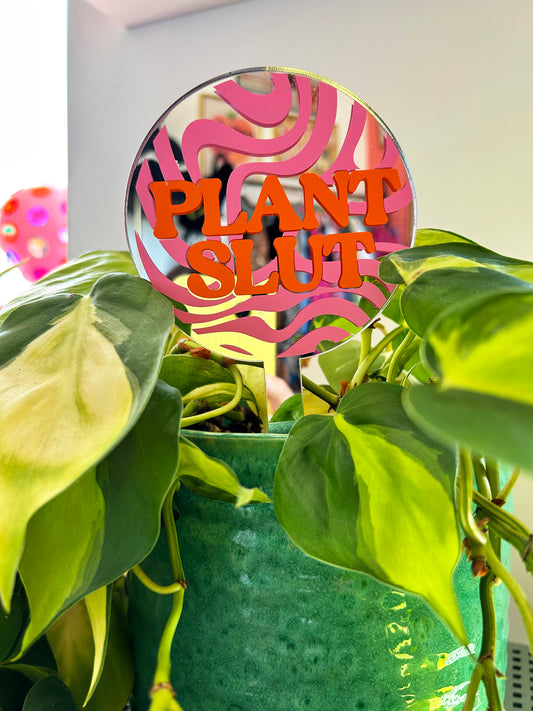 Plant Slut Mirror Plant Stick