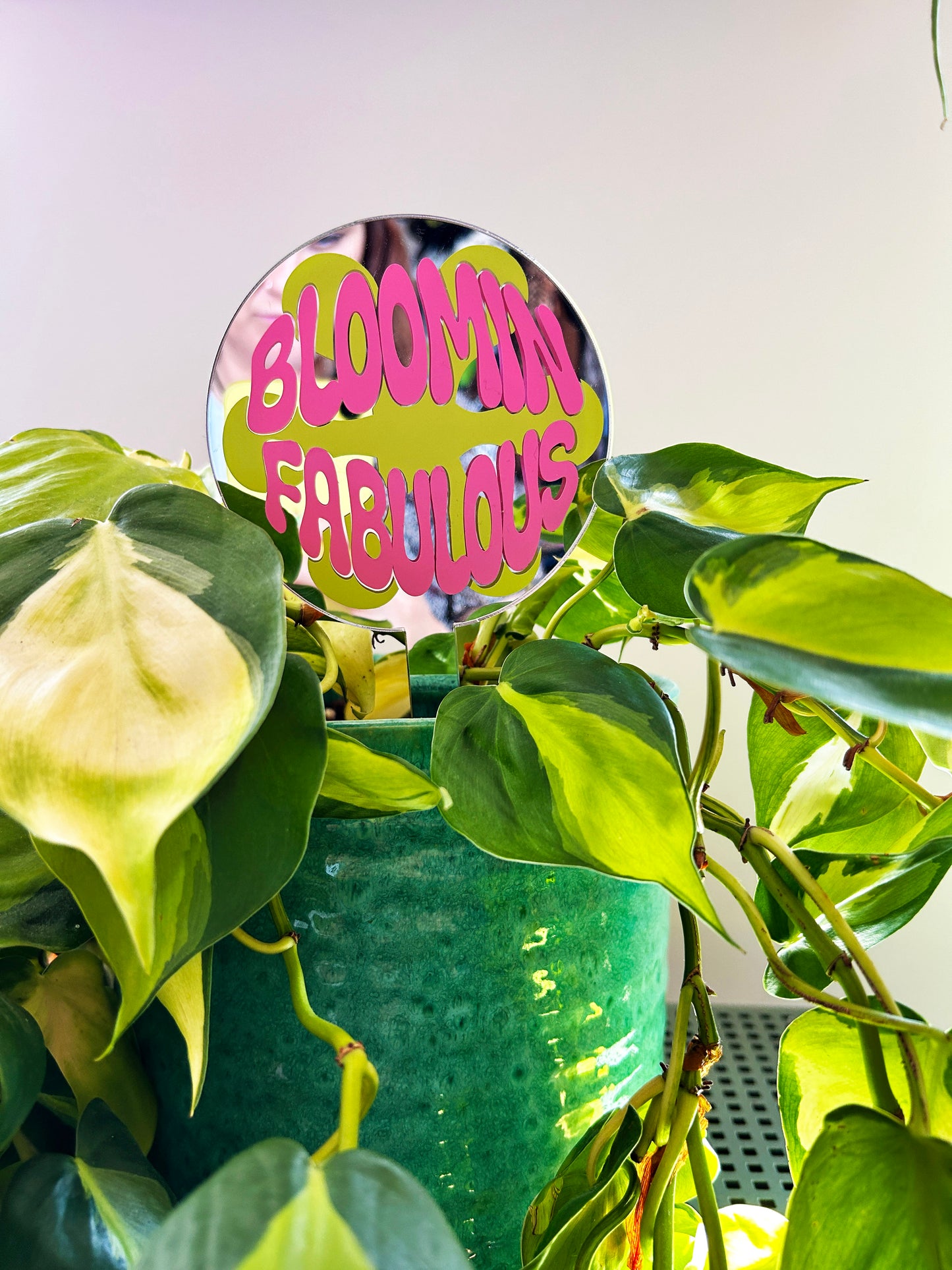 Bloomin Fabulous Mirror Plant Stick