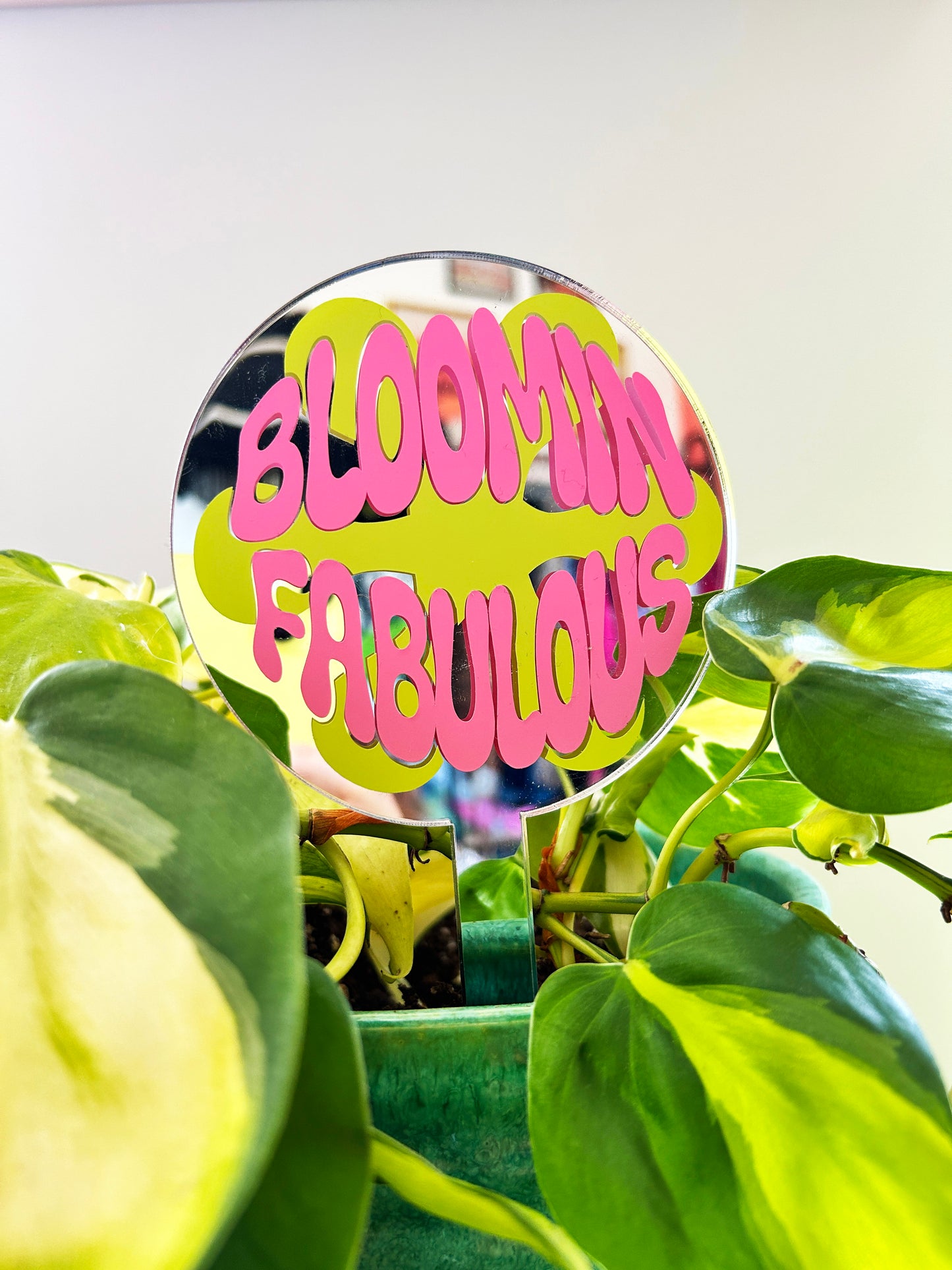 Bloomin Fabulous Mirror Plant Stick