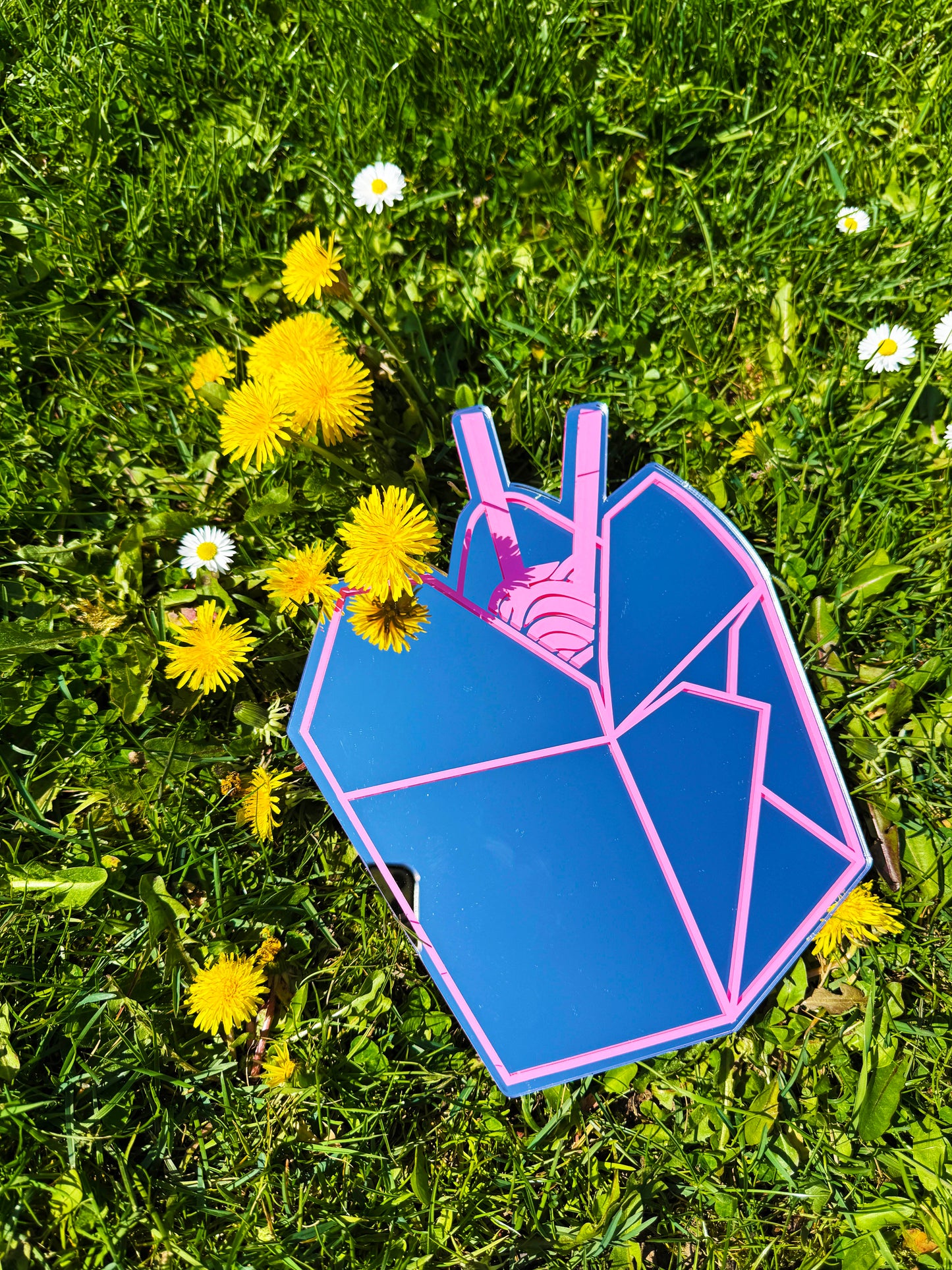 Sample Sale - Pink Noodle Box