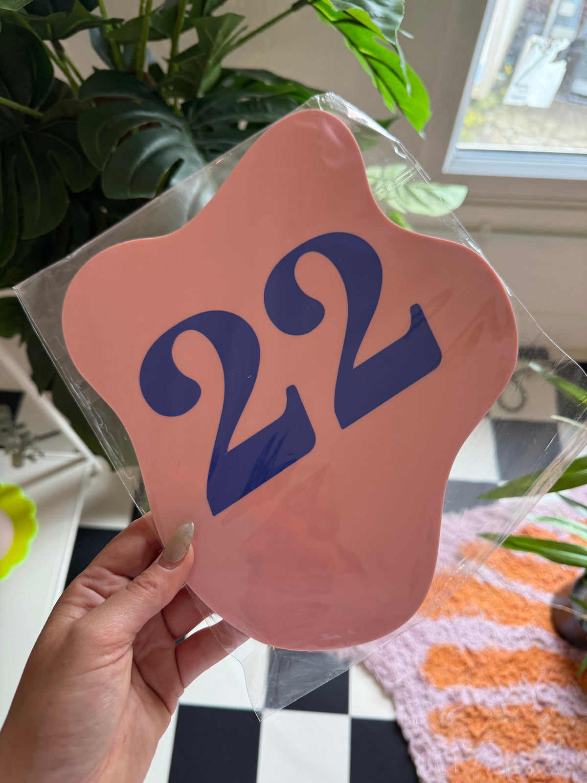 House Number - 22