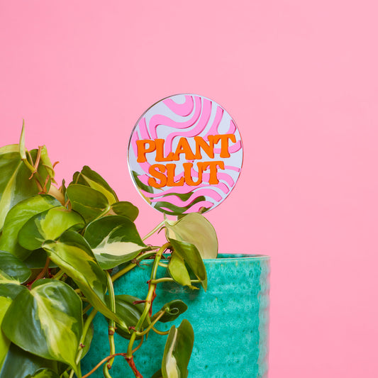 Plant Slut Mirror Plant Stick