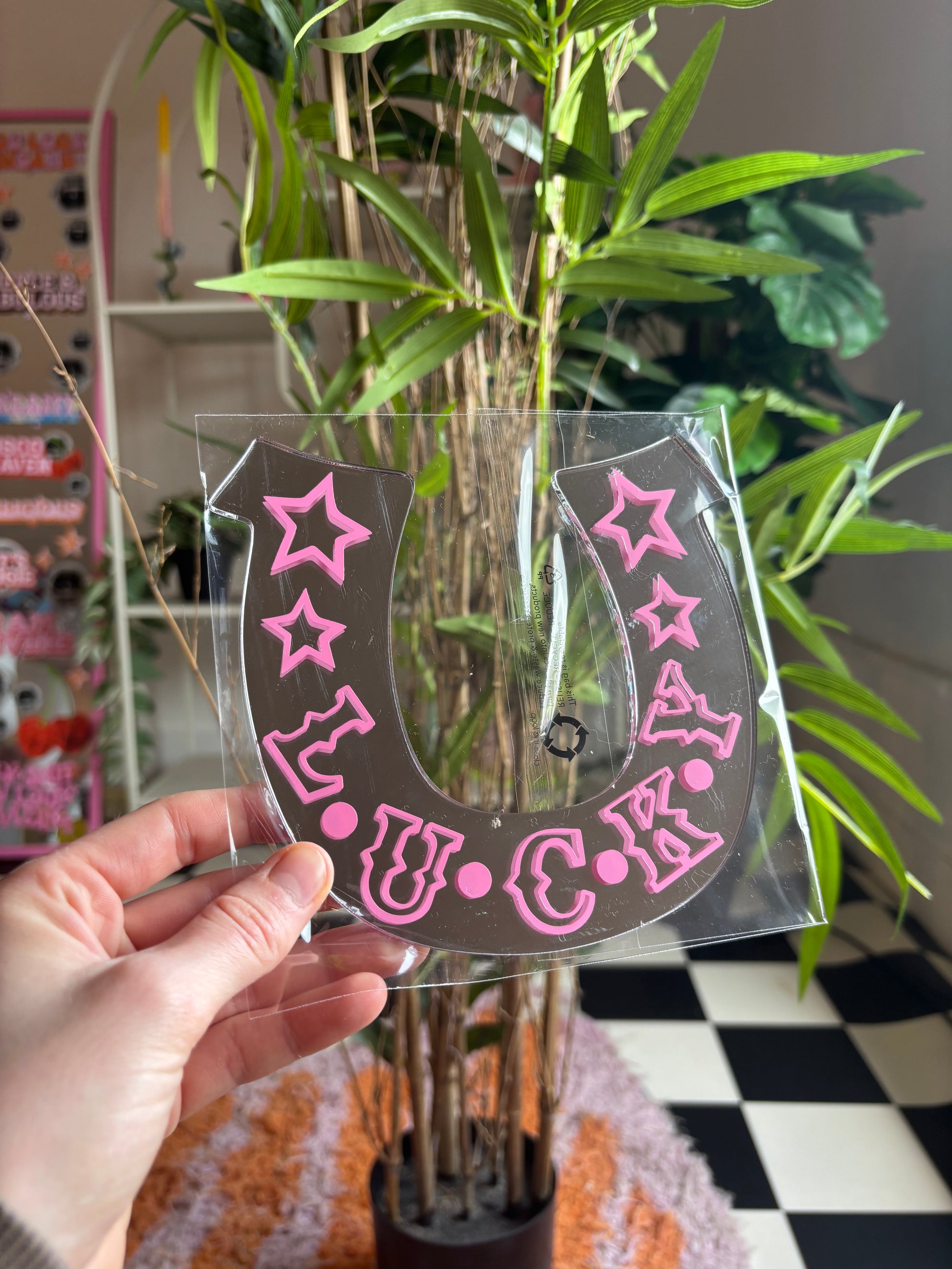 A hand is holding a clear plastic sign with the word "LUCK" written on it, which is placed in front of a potted plant.